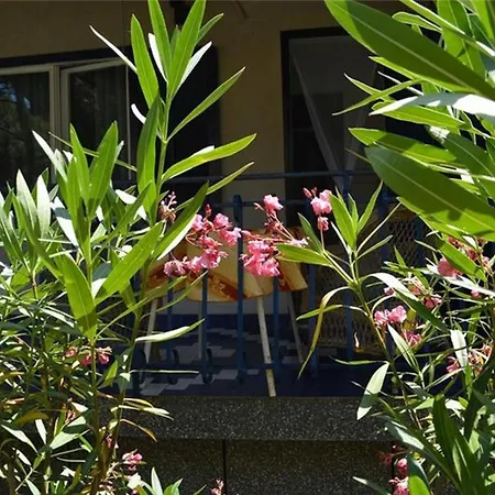 House Adriatic Πανσιόν Čunski