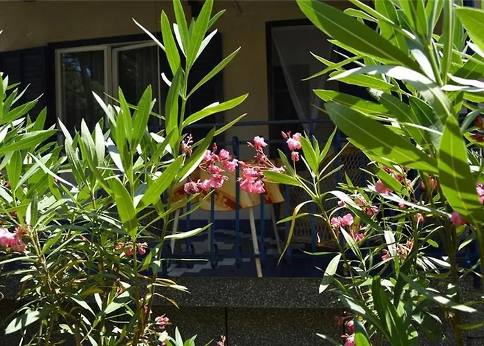 House Adriatic ゲストハウス Čunski